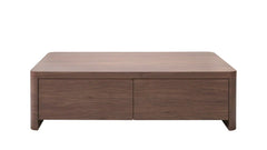 Form Storage Coffee Table Walnut (minor damage)