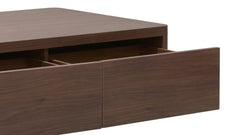 Form Storage Coffee Table Walnut (minor damage)
