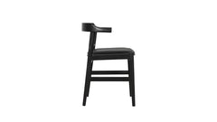 Dining Chair with Cushion