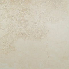 Legend 20" x 20" Matte Porcelain Tile