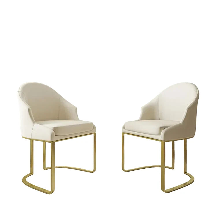 Rafer Modern Luxury Dining Chair ( Set of 2)
