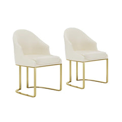 Rafer Modern Luxury Dining Chair ( Set of 2)