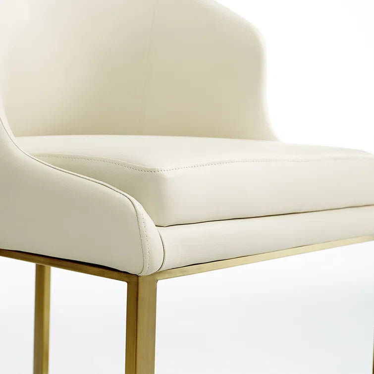 Rafer Modern Luxury Dining Chair ( Set of 2)