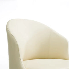 Rafer Modern Luxury Dining Chair ( Set of 2)